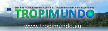 tropimundo.jpg